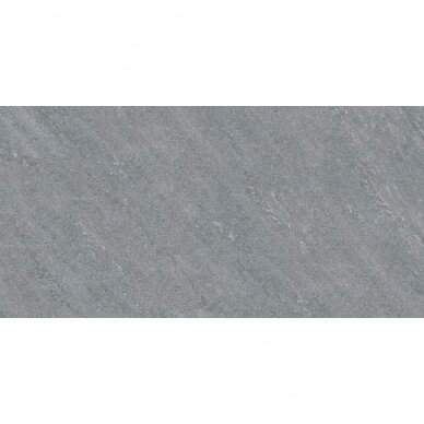 Terasinė plytelė Signum Grey  90x45x2 cm 1m2